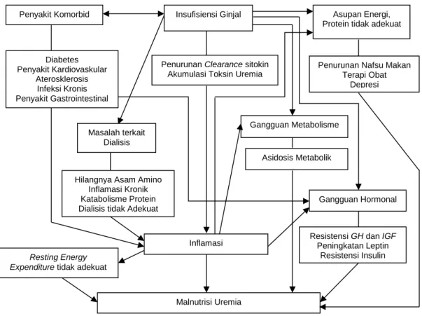 Gambar 3. Malnutrisi uremia PGK 