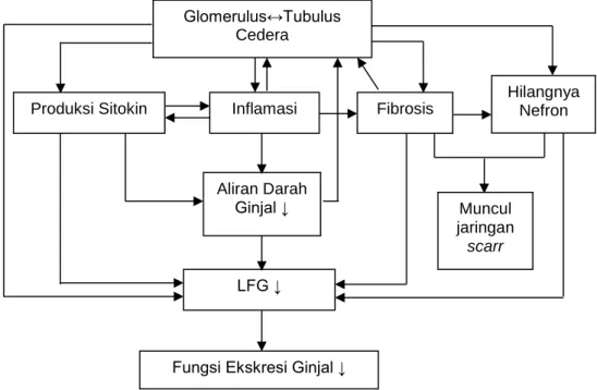 Gambar 2. Patofisiologi PGK 