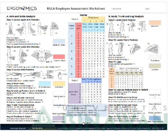 Gambar 2. 7 RULA Employee Assessment Worksheet  (Sumber: https://ergo-plus.com, 2021) 