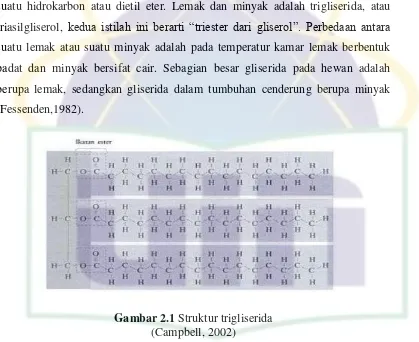 Gambar 2.1 Struktur trigliserida 