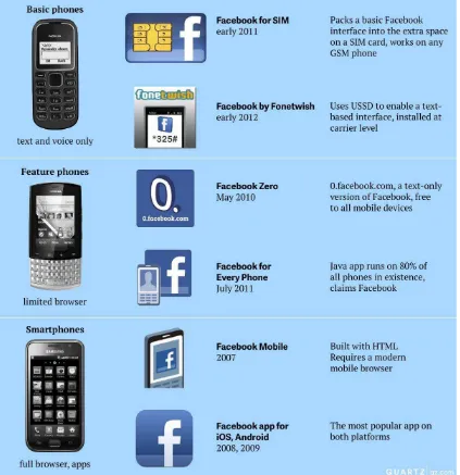 Figure 3: Types of Mobile Facebook Access