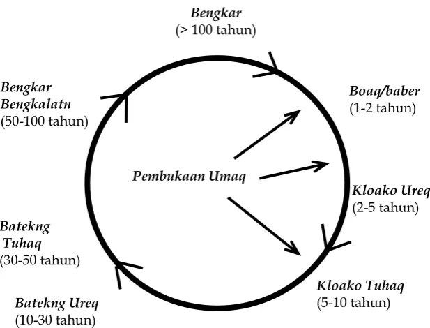 Gambar 2 Siklus dan Klasifikasi Hutan Menurut Suku Benuaq 