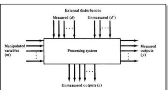 Gambar 2.1 Variabel Input dan Output Disekeliling Proses Kimia (Stephanopoulos, 1984) 2.2