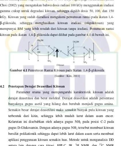 Gambar 4.1 Pemutusan Rantai Kitosan pada Ikatan  1,4-β-glikosida 