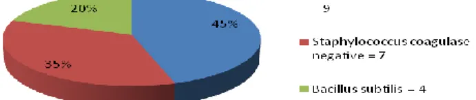 Figure 1: Bacteria found before handwashing with soap 