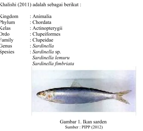 Gambar 1. Ikan sarden 