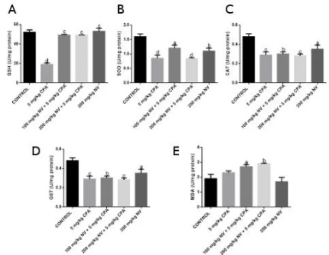 Table  1:  Quantitative  phytochemical  screening  of  methanol  stem bark extract of  N