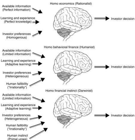 Figure 4.4 The evolution of interpretations of investor behavior