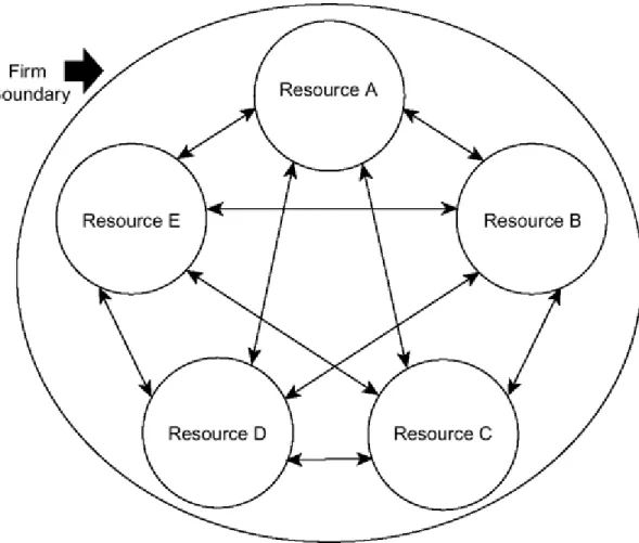 Figure 6.1a Resource-rich firm with common ownership and control of resources