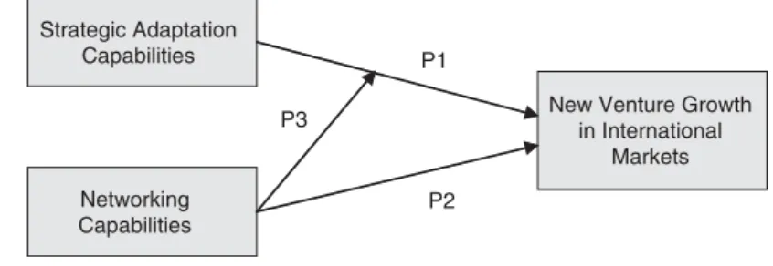 Fig. 1. New Venture Growth in the International Context.