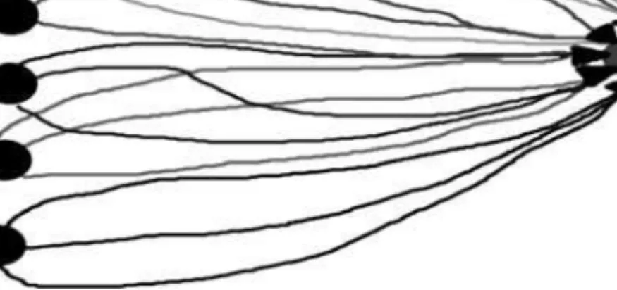 Fig. 1. An Illustration of Equifinality. Source: von Bertalanfy (1960).