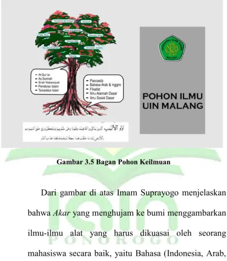Gambar 3.5 Bagan Pohon Keilmuan