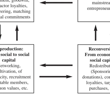 Figure 2.1 Modes of conversion and reproduction