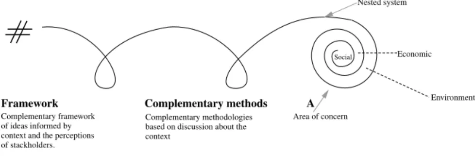 Diagram 1.1. PAR is iterative thinking and practice (derived from Checkland and Holwell, 1998: 13).