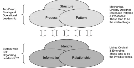 Figure 16.1. With Self-Organizing Leadership™ the changes are co-created 