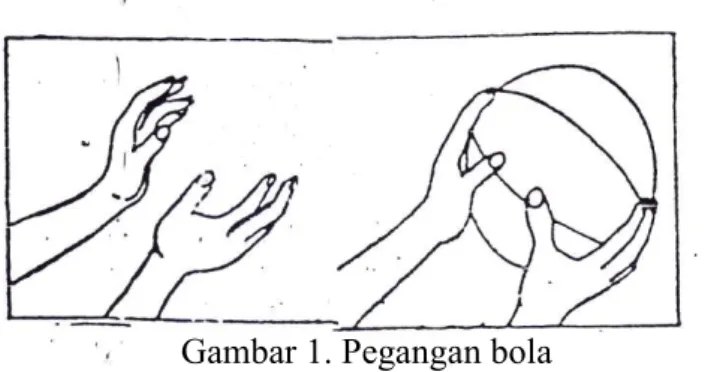 Gambar 1. Pegangan bola