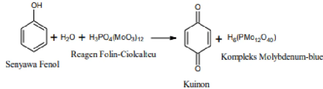 Gambar 1. Reaksi Reagen Folin-Ciocalteu dengan Senyawa Fenol  2.7  Asam Galat 
