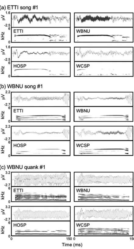 Fig. 2.9 AEPs in response to natural vocalizations. Shown here are mean AEP responses to one exemplar of each of the three types of stimuli played to each of the four species tested