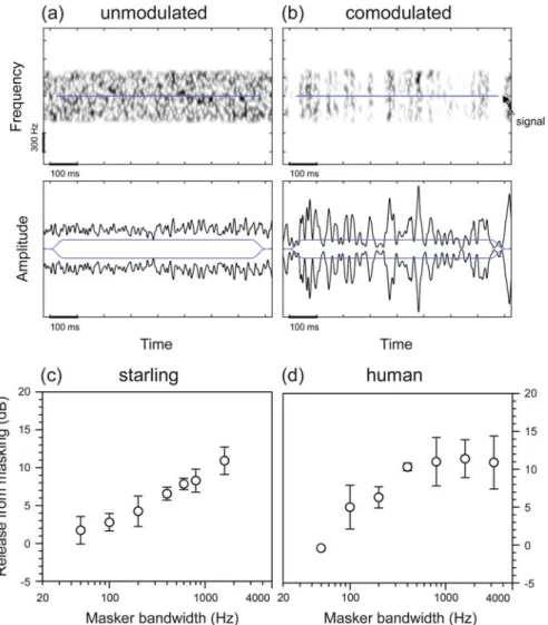Fig. 3.1 Comodulation masking release (CMR) in starlings and humans measured in a band- band-widening paradigm