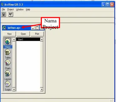 Gambar 1.3 Tampilan dari sebuah ArcView project b. View