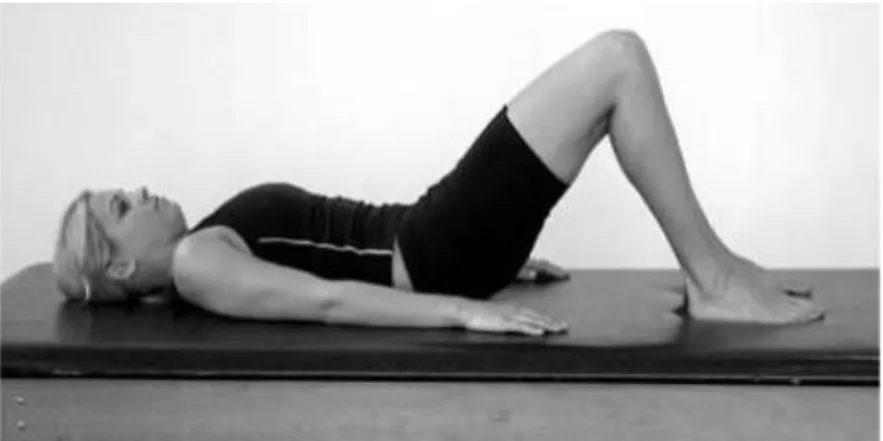 Gambar 2.1 Pelvic Tilt