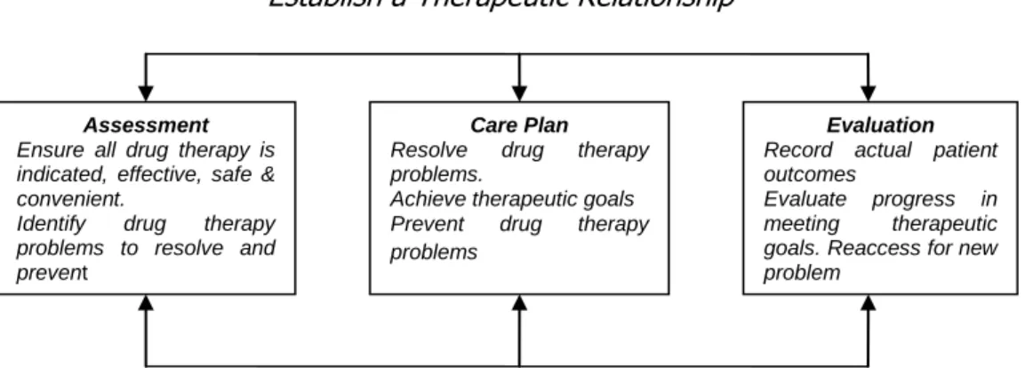 Gambar 2.1  The Pharmaceutical Care Process–Assessment, Care Plan,  Evaluation   