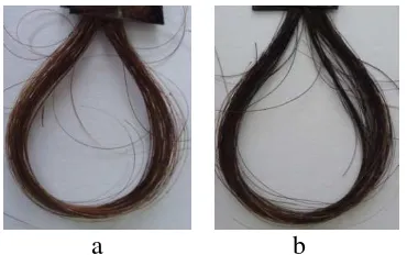 Gambar 4.1. Pengaruh perbedaan konsentrasi pirogalol terhadap perubahan             warna rambut uban dengan lama perendaman 4 jam
