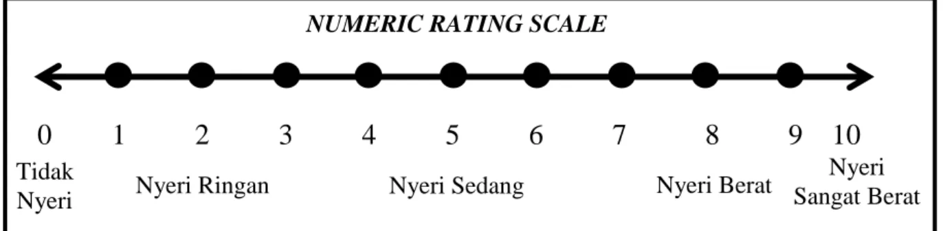 Gambar 2.1 Gambar Pengkajian Numeric Rating Scale 