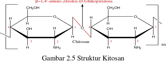 Gambar 2.5 Struktur Kitosan 