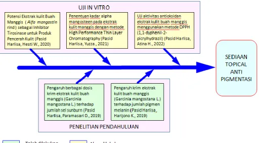 Gambar 1. Roadmap Penelitian 