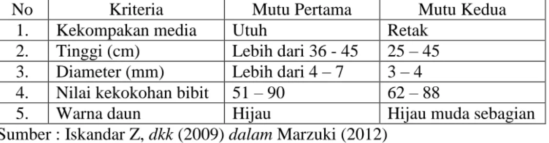 Tabel 1 : Syarat mutu bibit sengon  