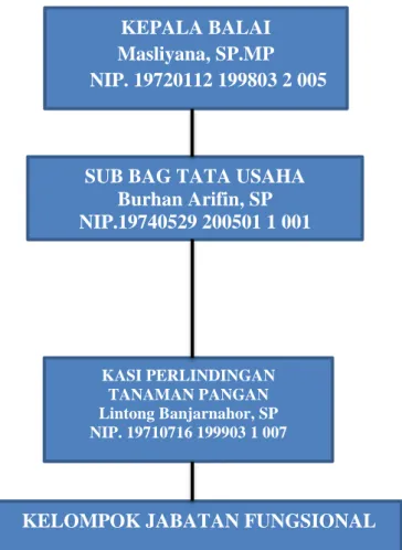 Gambar 10. Bagan Struktur Organisasi BPTPH Kalimantan SelatanKEPALA BALAI        