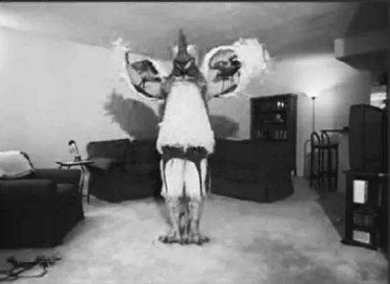 Figure 2.3   Subservient Chicken does the YMCA