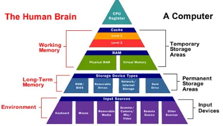 Gambar 4.  Perbandingan antara otak manusia dan memori komputer 