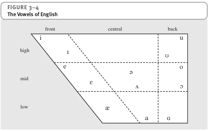 FIGURE 3–4The Vowels of English