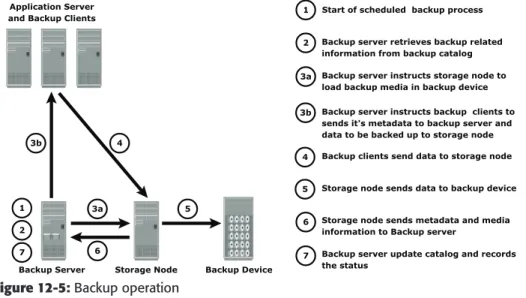 Figure 12-5: Backup operation