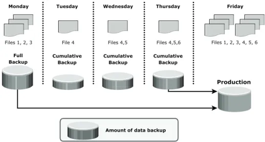 Figure 12-3 illustrates an example of cumulative backup and restoration.