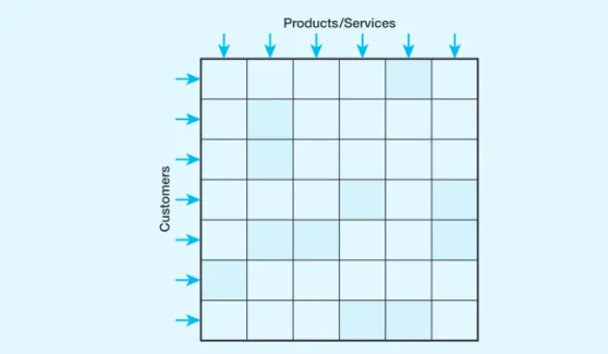 Figure 10.2 The product–customer matrix
