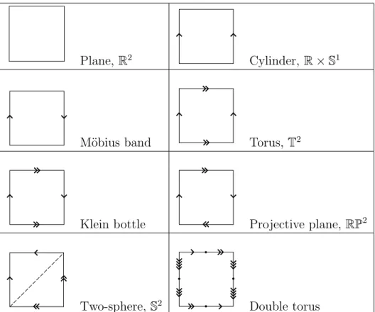 Figure 4.5: Some 2D manifolds that can be obtained by identifying pairs of points along the boundary of a square region.