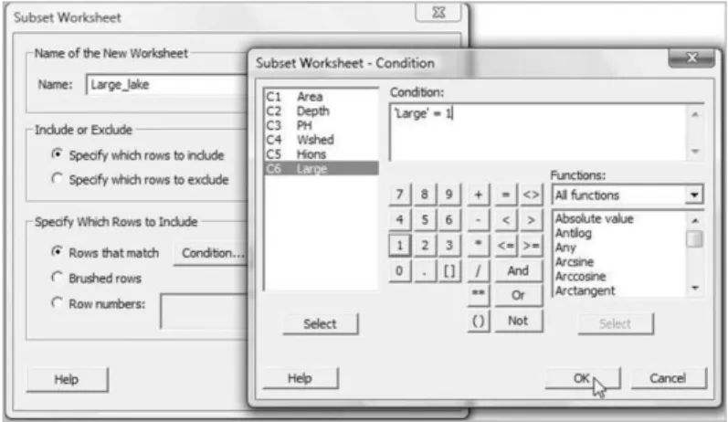 Figure 3.7 Dialog for creation of a subset of a worksheet.