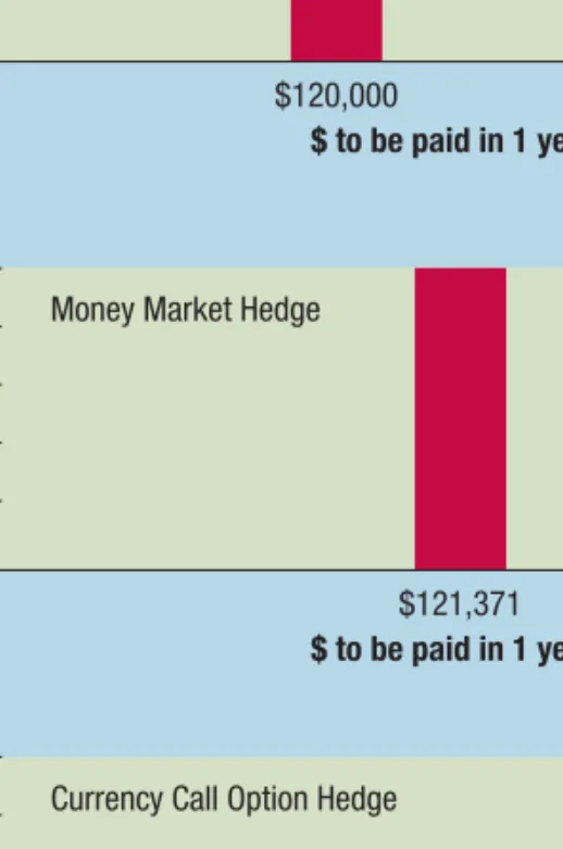 Exhibit 11.4  Graphic Comparison of Techniques to Hedge Payables