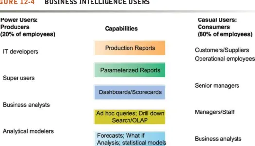 FIGURE 12-4 BUSINESS INTELLIGENCE USERS