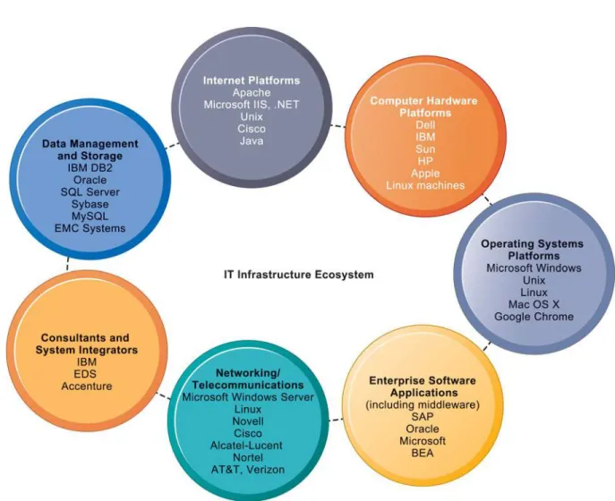 FIGURE 5-9 THE IT INFRASTRUCTURE ECOSYSTEM