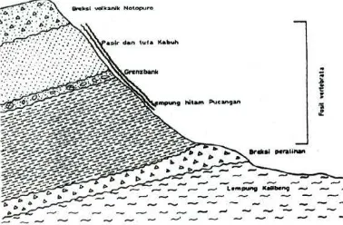 Gambar 1. Lapisan Stratigrafi Situs Sangiran 