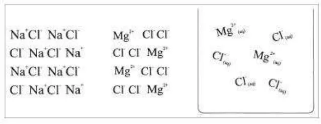 Fig. 5: 2D-models of ionic lattices in the ion ratio 1 : 1 (Na+Cl-) and 1 : 2 (Mg2+(Cl-)2) 