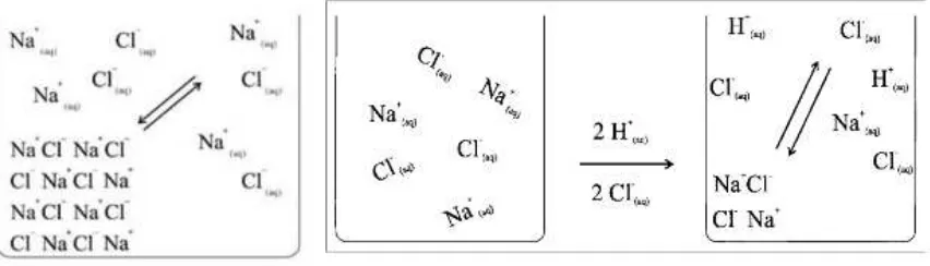 Fig. 8: Beaker models for the solubility equilibrium of saturated sodium chloride solution 