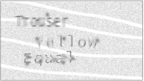 Figure 10.2 Sample of CAPTCHA Used to Prevent Automated Responses