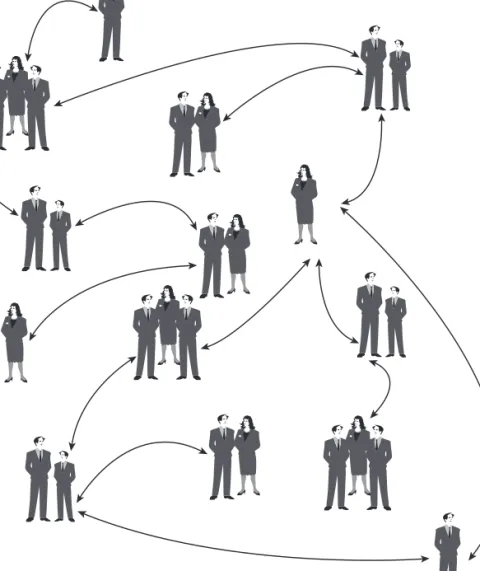Figure 4.3  A network representative of Reed’s Law