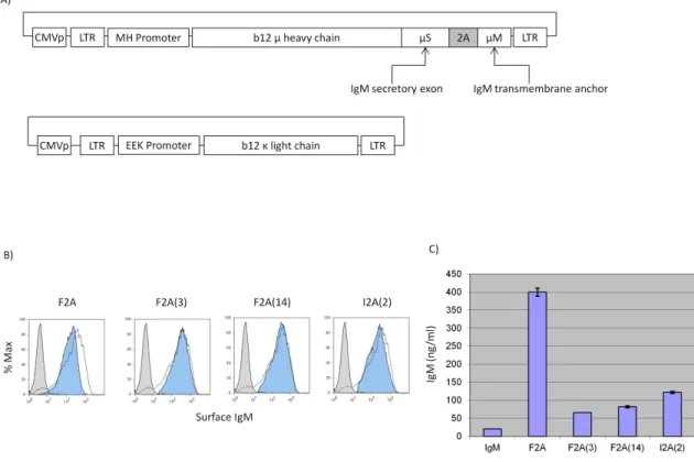 Figure 2.1  A) Schematic representation of the IgM  Molecular Rheostat 