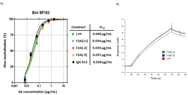 Figure 2.5  Secreted b12 IgG from the Molecular Rheostat constructs neutralized Env  SF162 pseudovirus and bound to GP120 as well as control b12 IgG